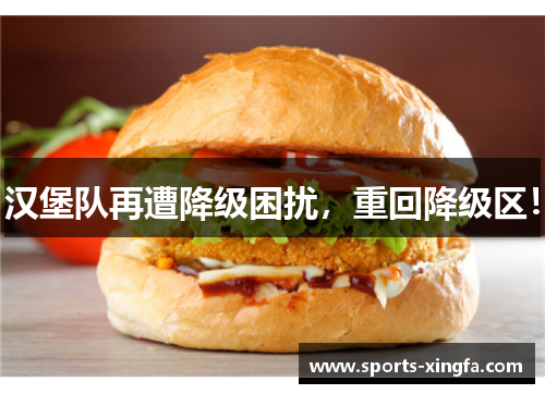 汉堡队再遭降级困扰，重回降级区！
